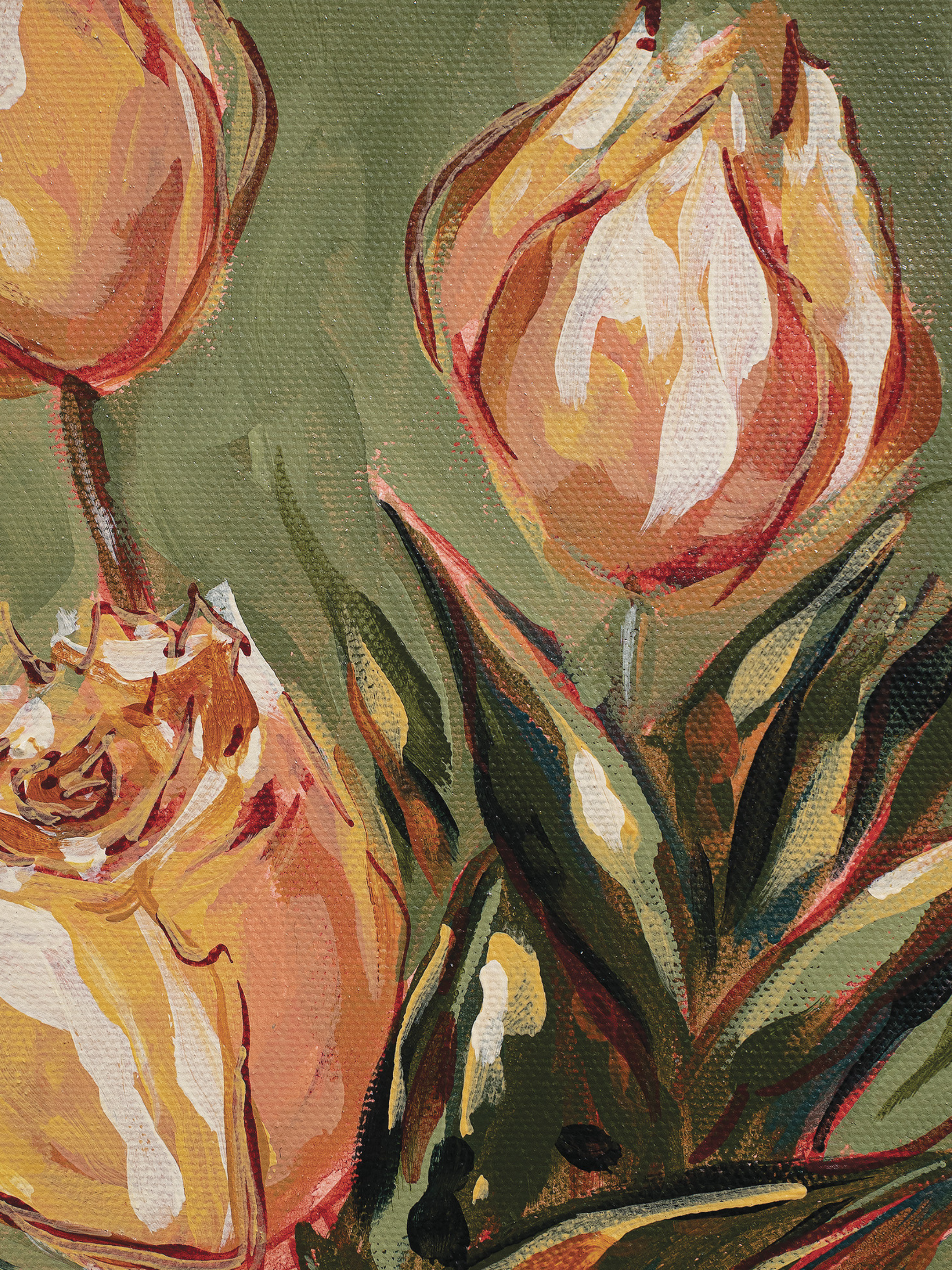 Where the Tulips Grow